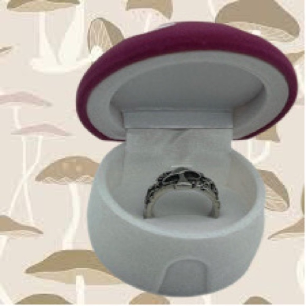 Mushroom House + Mystical Mushroom Silver Ring Gift Set, Various Sizes, NWOT